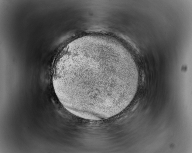 X0000103431350200810241049