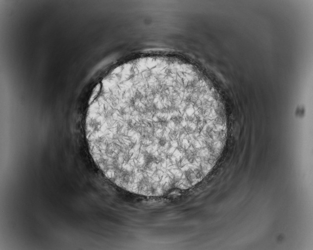X0000103431351200810241049
