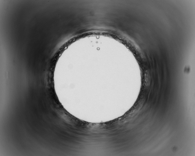 X0000103431352200810241049