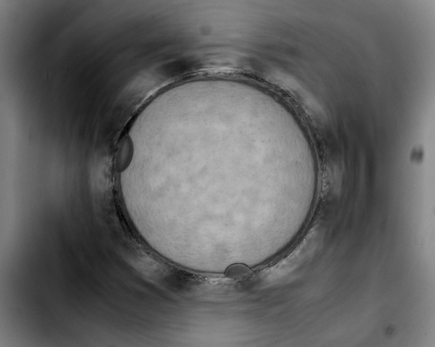 X0000103431353200810241048