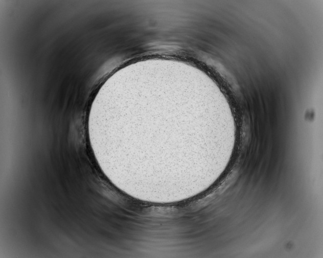 X0000103431354200810241048