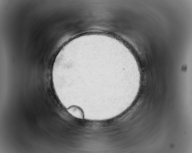 X0000103431355200810241048