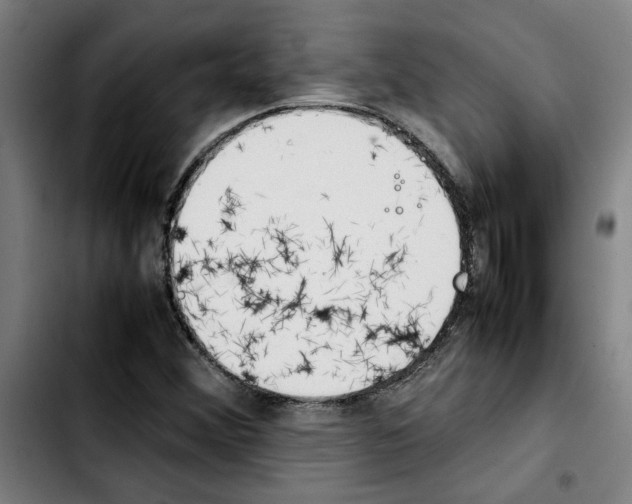 X0000103431356200810241048
