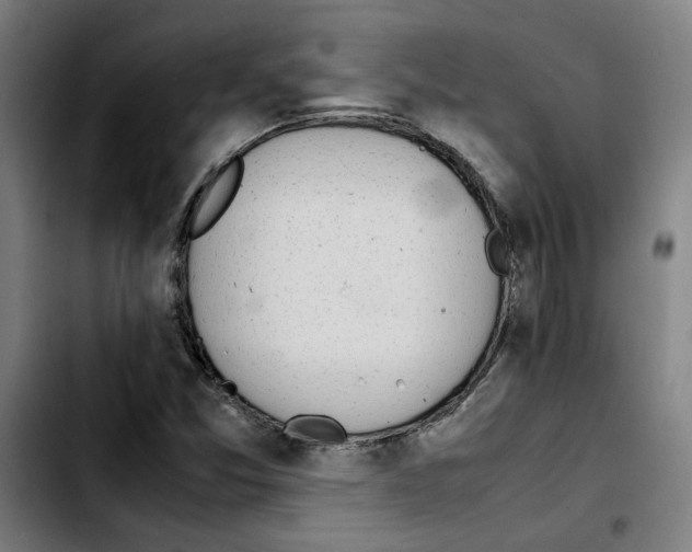 X0000103431357200810241048