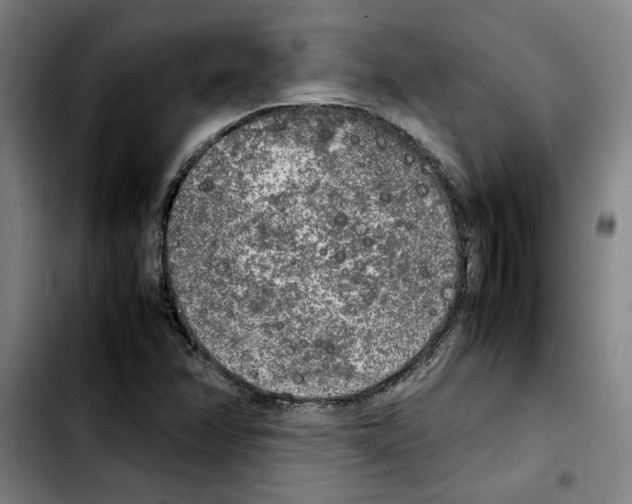 X0000103431358200810241048