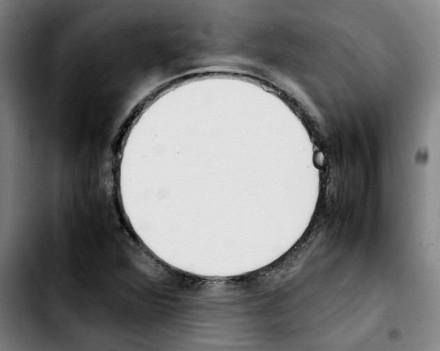 X0000103431360200810241048