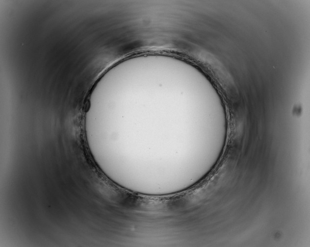 X0000103431361200810241048