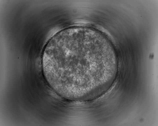 X0000103431362200810241048