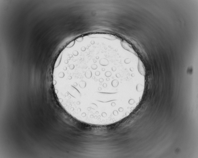 X0000103431363200810241048