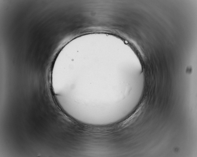 X0000103431365200810241048