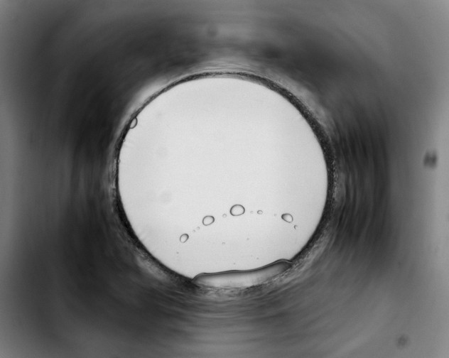 X0000103431366200810241048