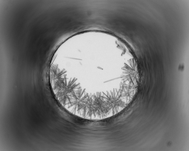 X0000103431367200810241048