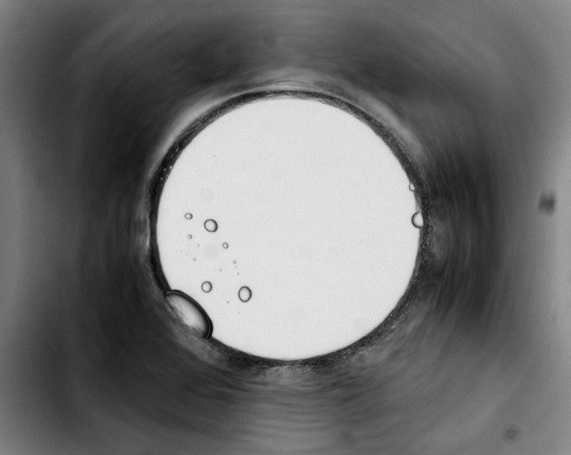 X0000103431368200810241048