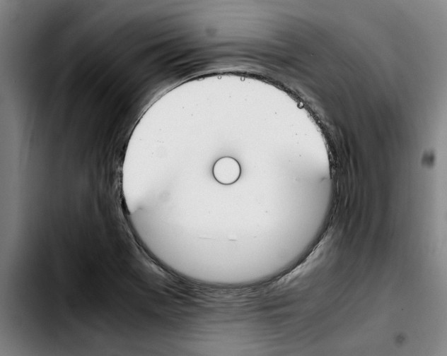 X0000103431369200810241048