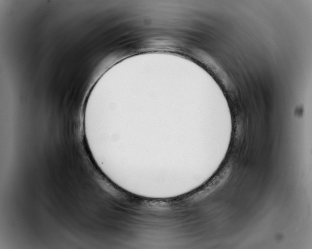 X0000103431370200810241048