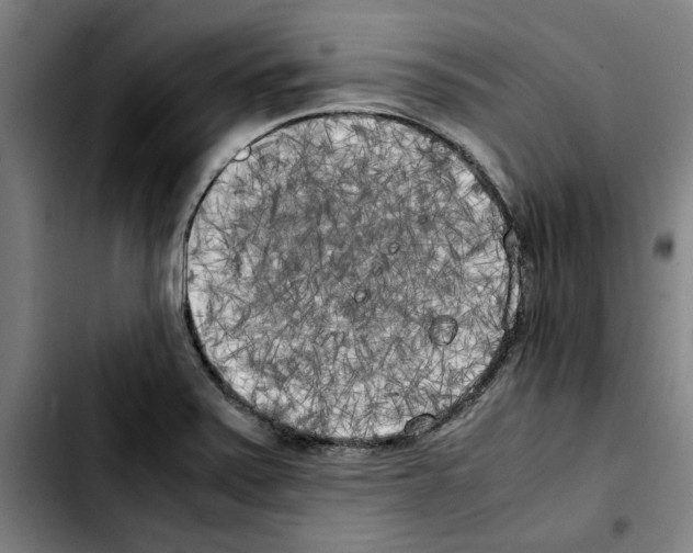X0000103431371200810241048