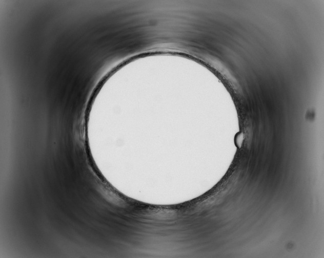 X0000103431372200810241048