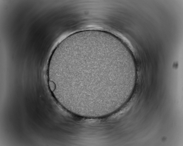 X0000103431373200810241048
