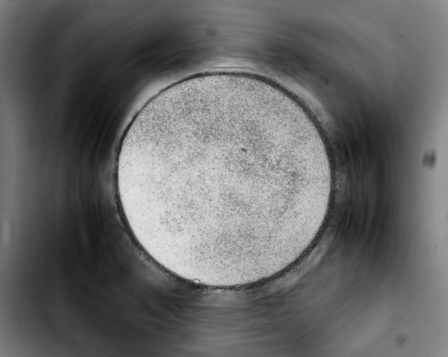 X0000103431374200810241048