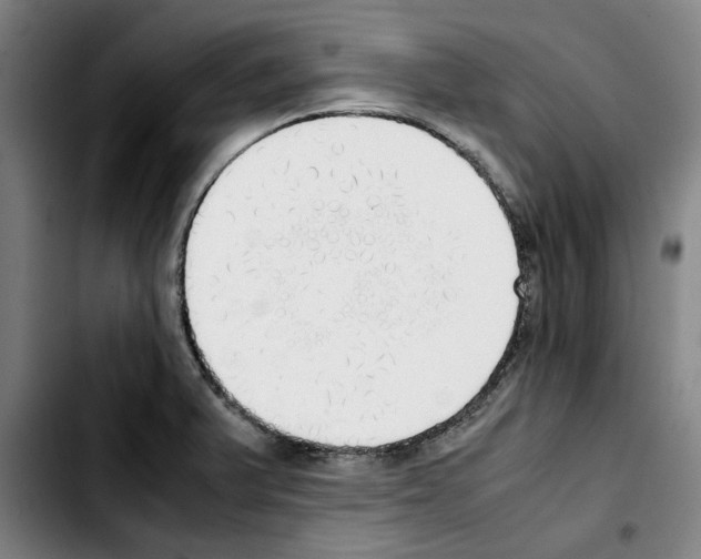 X0000103431375200810241048