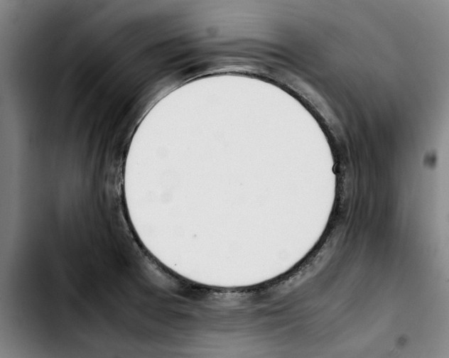 X0000103431377200810241048