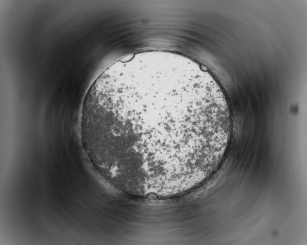 X0000103431378200810241048