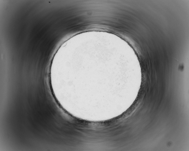 X0000103431379200810241048