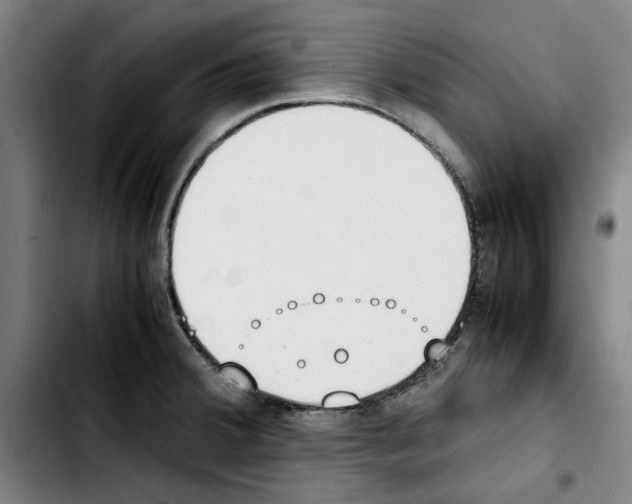 X0000103431380200810241048