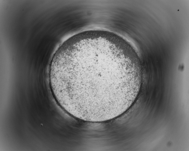 X0000103431382200810241048