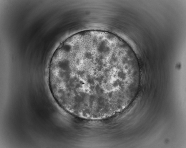 X0000103431383200810241048