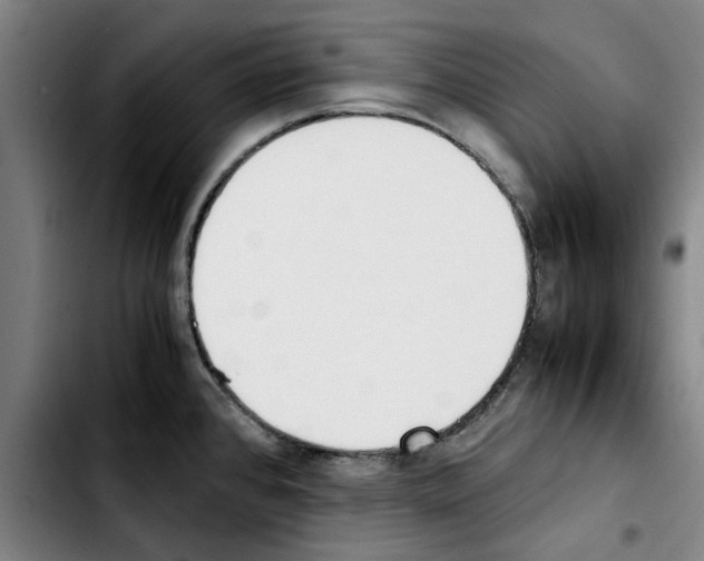 X0000103431384200810241048