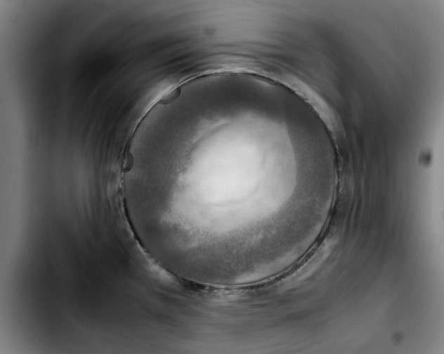 X0000103431385200810241048
