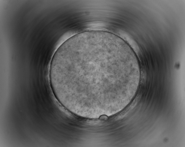 X0000103431386200810241048