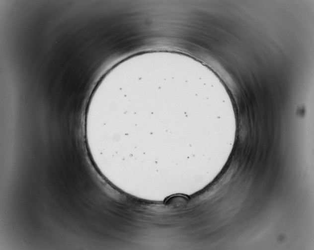X0000103431388200810241048