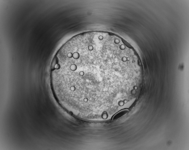 X0000103431389200810241048