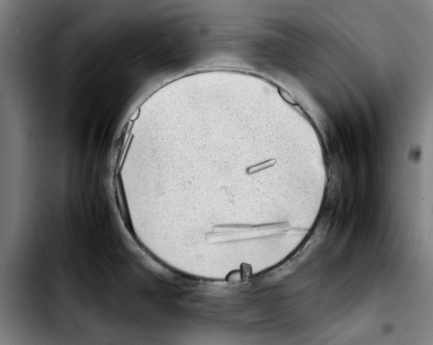 X0000103431390200810241048