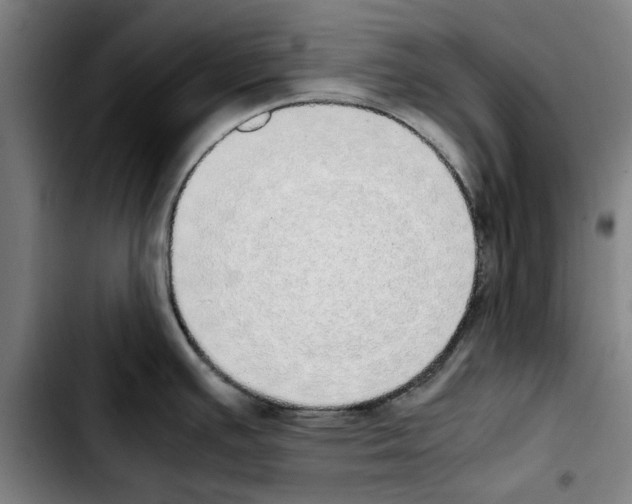X0000103431391200810241048