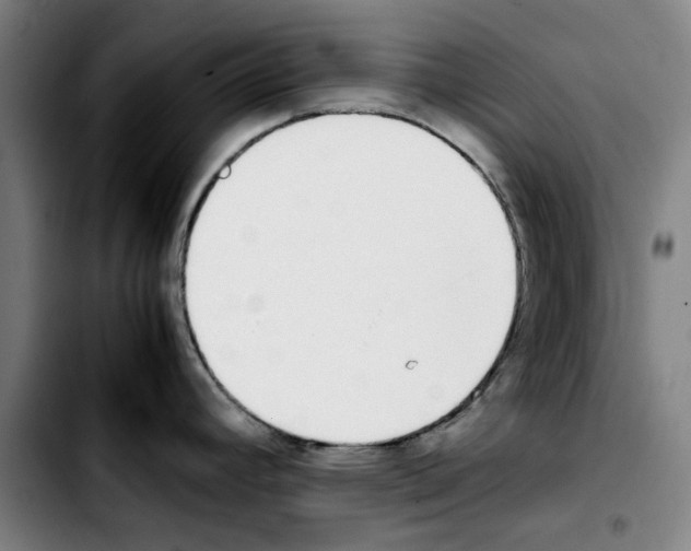 X0000103431392200810241048