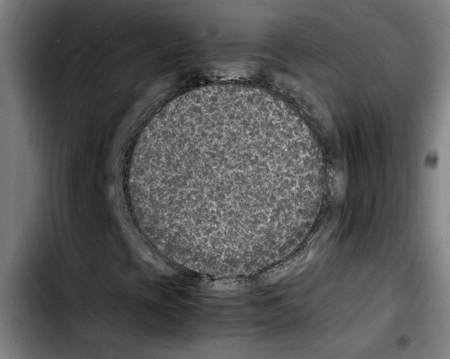 X0000103431393200810241047