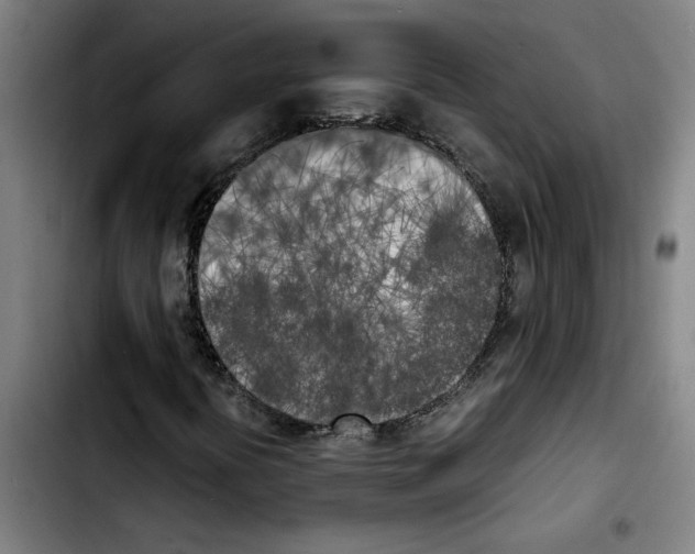 X0000103431394200810241047
