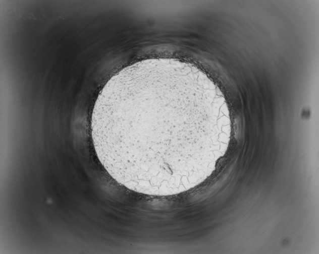 X0000103431395200810241047