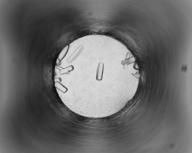 X0000103431396200810241047