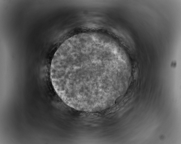 X0000103431397200810241047