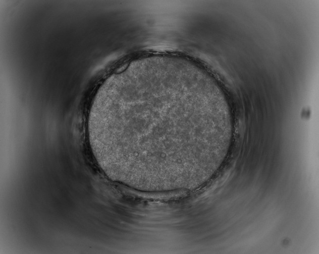 X0000103431398200810241047