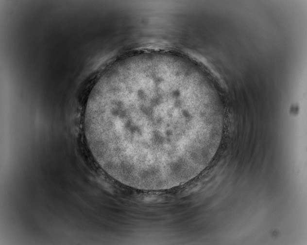 X0000103431399200810241047