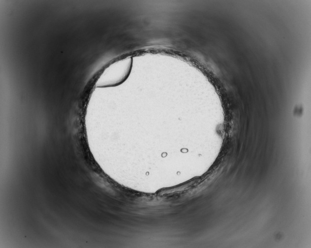 X0000103431400200810241047