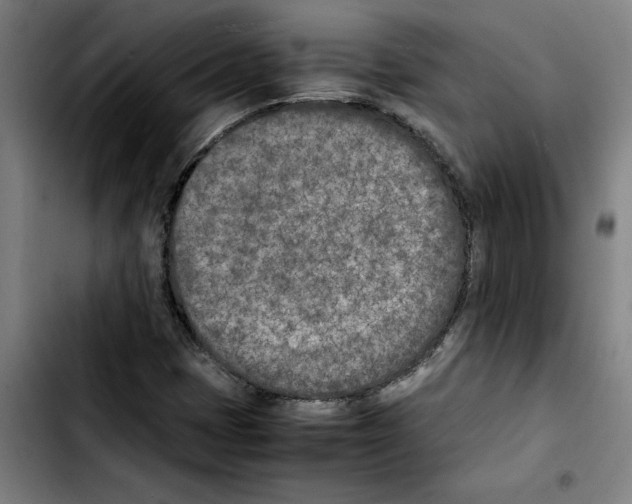 X0000103431401200810241047