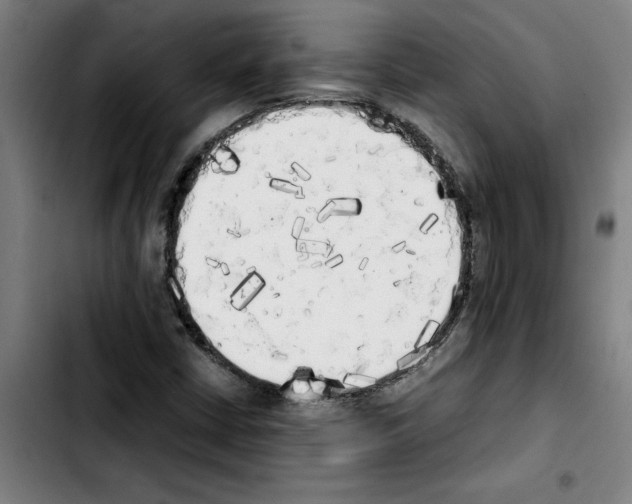 X0000103431402200810241047