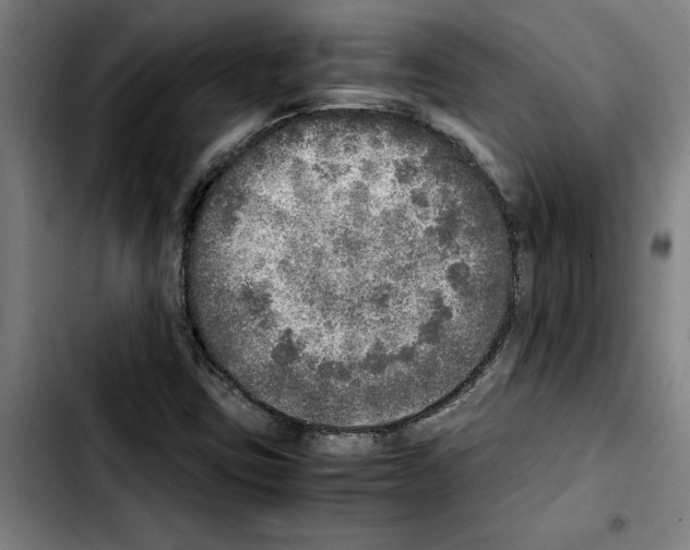 X0000103431403200810241047