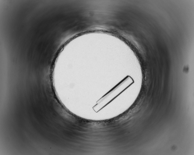 X0000103431404200810241047